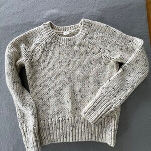 Gap Chunky sweater